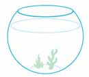 fishbowl