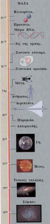 H μάζα (σε kg) διαφόρων αντικειμένων από το ηλεκτρόνιο έως το Σύμπαν.