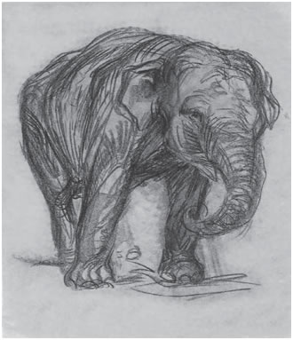 17. Μακ, «Ελέφαντας», 1907.