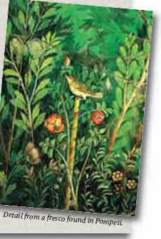 Detail from a fresco found in Pompeii.