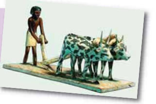 e.g. Egyptian farmers cleared away the stones and branches
from their fields after the floods had gone down.