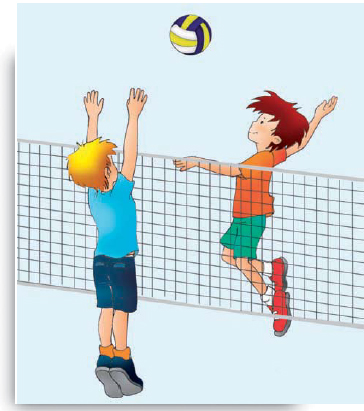 Η πετοσφαίριση