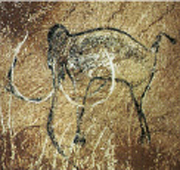 Βίσονας, µαµούθ και άλογα από βραχογραφίες σπηλαίων της Ευρώπης.