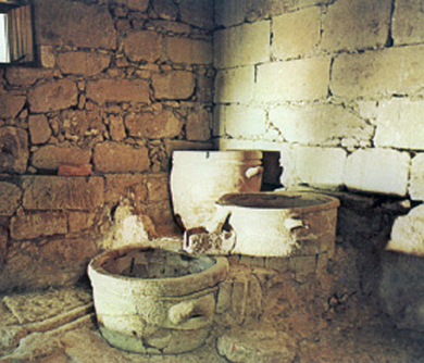3. Ο τρύγος