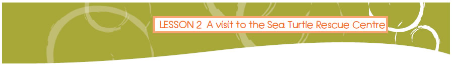 LESSON 2 A visit to the Sea Turtle Rescue Centre