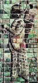 1. Στρατιώτης - τοξότης της φρουράς του Δαρείου