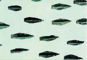 4. Αιχμές περσικών βελών που βρέθηκαν στην περιοχή των Θερμοπυλών.