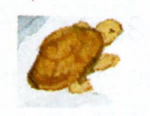 img1_32