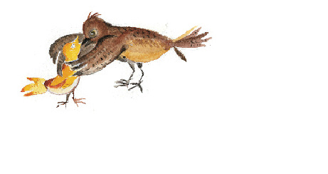 img2_8