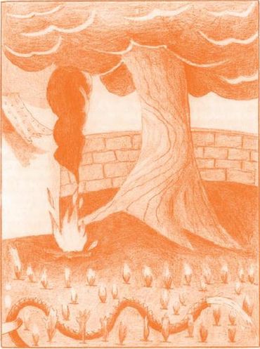 Το αγαπημένο πεύκο της Σόνιας κινδυνεύει!