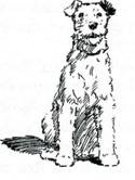 image435