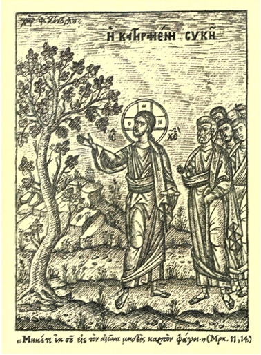 Η κατηραμένη συκή. Εικονογραφία Φ. Κόντογλου (1949).