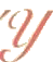 Ύ