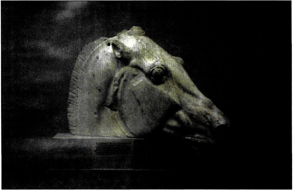 Κεφάλι αλόγου από το άρμα της Σελήνης. Παρθενώνας, ανατολικό αέτωμα.(Λονδίνο, Βρετανικό Μουσείο)