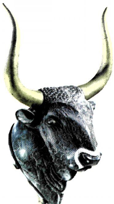 Τελετουργικό πέτρινο αγγείο με το οποίο έκαναν σπονδές. Έχει τη μορφή κεφαλής ταύρου. 0 ταύρος ήταν ένα από τα ιερά ζώα στη μινωική θρησκεία. Προέρχεται από το μικρό ανάκτορο της Κνωσού (1600 π.Χ.). (Ηράκλειο Κρήτης, Αρχαιολ. Μουσείο)