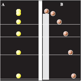 Εικόνα 1.3.19 Χρονοφωτογραφίες α) ελεύθερη πτώση β) οριζόντια βολή.