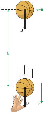 Εικόνα 2.1.9 Το έργο του βάρους είναι ίσο με την κινητική ενέργεια που αποκτά η μπάλα.