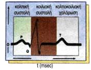 εικ. 3.6 Έλεγχος του καρδιακού ρυθμού