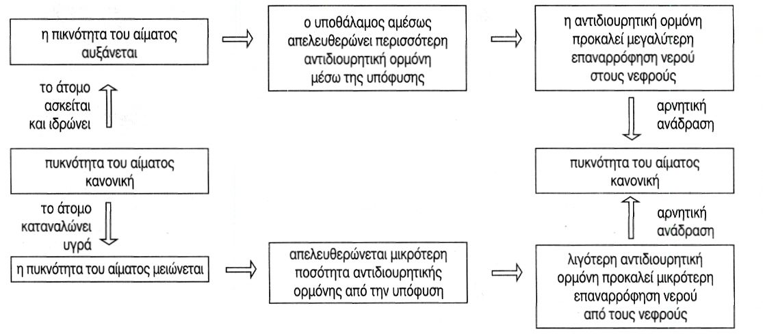εικ. 6.10 Η διαδικασία της ωσμωρρύθμισης