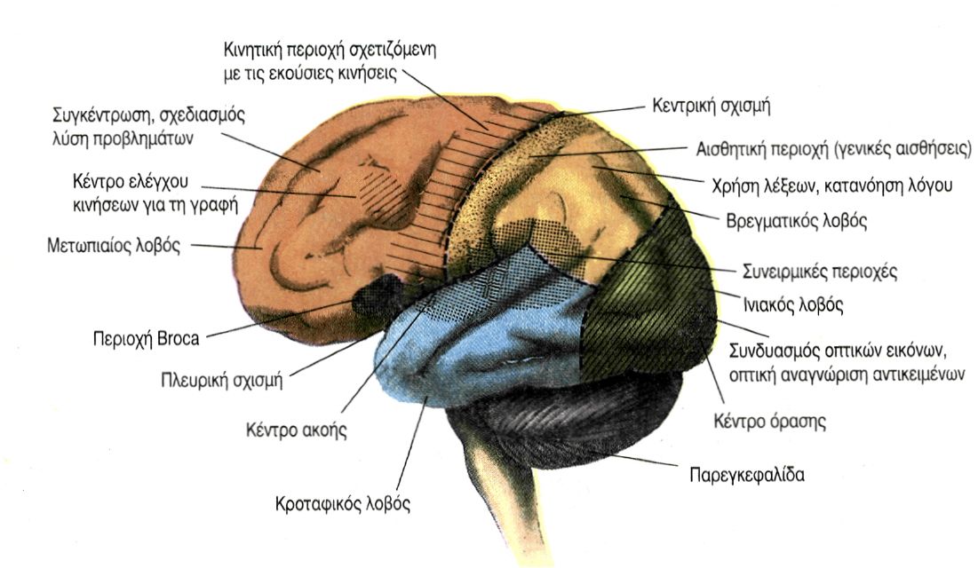εικ. 9.15 α. Περιοχή ελέγχου