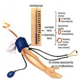 ε/κ. 3.10 Προσδιορισμός της αρτηριακής πίεσης