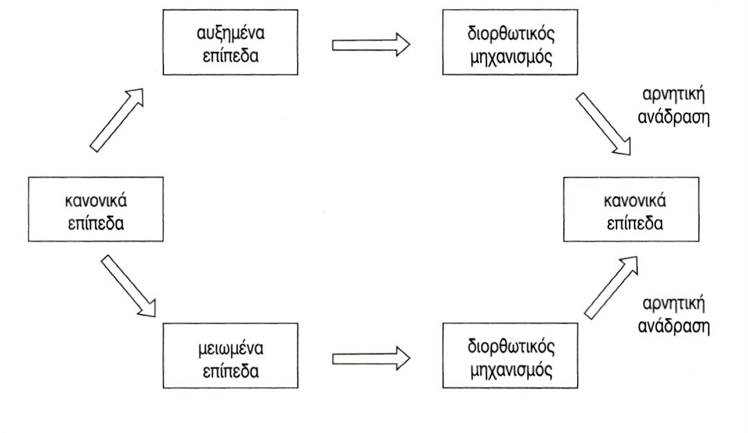 ει κ. 6.11 Ομοιοστατικός μηχανισμός