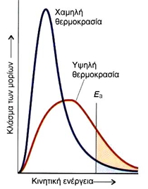 ΣΧΗΜΑ  3.5  Ενεργειακή κατανομή μορίων σε δύο διαφορετικές θερμοκρασίες. Το γραμμοσκιασμένο εμβαδόν αντιπροσωπεύει τον αριθμό των μορίων που έχουν ενέργεια μεγαλύτερη της ενέργειας ενεργοποίησης.