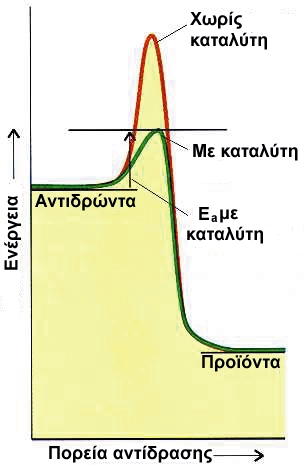 ΣΧΗΜΑ 3.7 Ο καταλύτης βρίσκει ένα πιο εύκολο μονοπάτι για την αντίδραση, με μικρότερη ενέργεια ενεργοποίησης Εa.