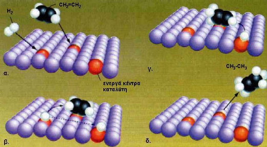 ΣΧΗΜΑ 3.8 Ερμηνεία της καταλυτικής δράσης του Ni στην αντίδραση
				C2H4(g) +H2(g) ?N??i(s)>C2H6(g) με βάση τη θεωρία της προσρόφησης:
				α. τα αέρια αντιδρώντα προσροφώνται στην επιφάνεια του καταλύτη
				β. σπάνε οι δεσμοί των μορίων των αντιδρώντων π.χ. Η - Η
				γ. σχηματίζονται οι δεσμοί των προϊόντων π.χ. C-H
				δ. τα αέρια προϊόντα απομακρύνονται από την επιφάνεια του καταλύτη.