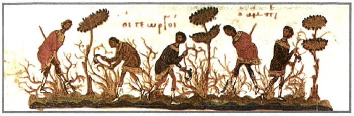 Γεωργοί καλλιεργούν αμπελώνα. Μικρογραφία από Ευαγγέλιο, (Παρίσι Εθνική Βιβλιοθήκη).
