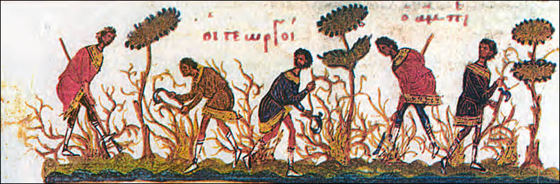 Γεωργοί καλλιεργούν αμπελώνα. Μικρογραφία από Ευαγγέλιο, (Παρίσι Εθνική Βιβλιοθήκη).