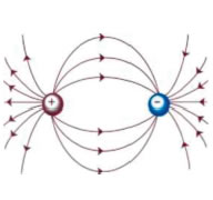 Δυναμικές γραμμές πεδίου δύο αντίθετων φορτίων +Q και -Q. Εικόνα 1-19.