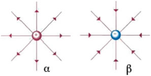 (α) Οι δυναμικές γραμμές αποκλίνουν και κατευθύνονται από το θετικό φορτίο προς το άπειρο. (β) Οι δυναμικές γραμμές συγκλίνουν και κατευθύνονται προς το αρνητικό ηλεκτρικό φορτίο. Εικόνα 1-17.