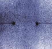 Δυναμικές γραμμές πεδίου δύο ίσων αρνητικών φορτίων. Εικόνα 1-20.