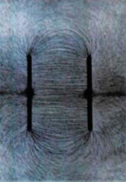 Φάσμα ηλεκτρικών δυναμικών γραμμών ομογενούς ηλεκτρικού πεδίου. Εικόνα 1.5-42.