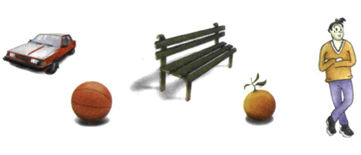 Σχ. 11.1. Αντικείμενα από το φυσικό περιβάλλον