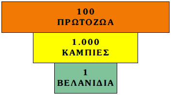 Εικόνα 2.8: Ανεστραμμένη τροφική πυραμίδα πληθυσμού