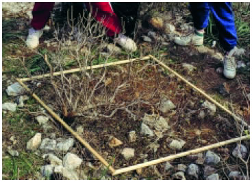 Εικόνα 2.10: Υπολογισμός της καθαρής πρωτογενούς παραγωγικότητας ενός οικοσυστήματος