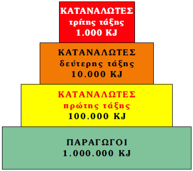 Εικόνα 2.7: Τροφική πυραμίδα ενέργειας