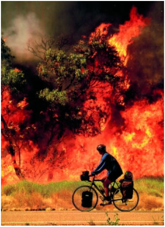 Εικόνα 2.31: Φωτιά σε ένα μεσογειακό οικοσύστημα
