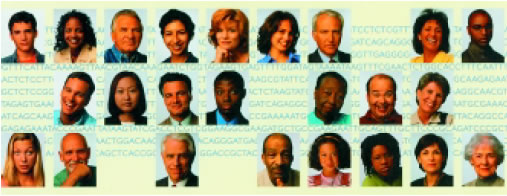 Εικόνα 3.10: Ποικιλομορφία