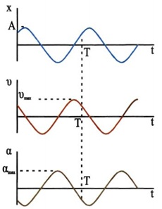 Σχ. 1.6 Τα διαγράμματα της απομάκρυνσης, της ταχύτητας και της επιτάχυνσης σε μια ταλάντωση με αρχική φάση. 