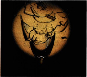 Εικ. 1.8 Όταν η συχνότητα ενός ηχητικού κύματος γίνει ίση με την ιδιοσυχνότητα του κρυστάλλινου ποτηριού, το ποτήρι ταλαντώνεται με το μέγιστο δυνατό πλάτος και τελικά σπάει.