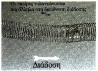 Σχ. 2.3 Διάμηκες κύμα 