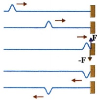 Σχ. 2.15 Ο κυματικός παλμός ανακλάται στο σταθερό εμπόδιο και διαδίδεται αντίθετα.