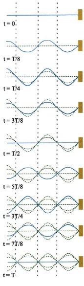 Σχ. 2.16 Στιγμιότυπα στάσιμου κύματος σε χορδή. 