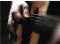 Εικ. 2.5 Στις χορδές της κιθάρας σχηματίζονται στάσιμα κύματα. Τα άκρα κάθε χορδής είναι υποχρεωτικά δεσμοί. 