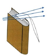 aaa