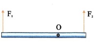 Σχ. 4.44