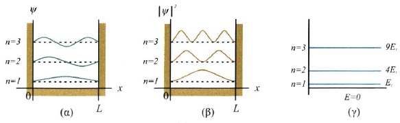 Σχ. 7.13 (α) Γραφικές παραστάσεις της Ψ(x) για τους τρεις πρώτους κβαντικούς αριθμούς .(β) Οι αντίστοιχες παραστάσεις για το |Ψ(x)|2. Η τιμή του |Ψ(x)|2 για κάθε σημείο δείχνει την πιθανότητα να βρεθεί το ηλεκτρόνιο σ' ένα στοιχειώδες dx γύρω από το σημείο αυτό. (γ) Οι αντίστοιχες ενεργειακές στάθμες του ηλεκτρονίου. Η απόσταση ανάμεσα σε δύο διαδοχικές στάθμες δεν είναι σταθερή, μεγαλώνει όσο αυξάνει το n